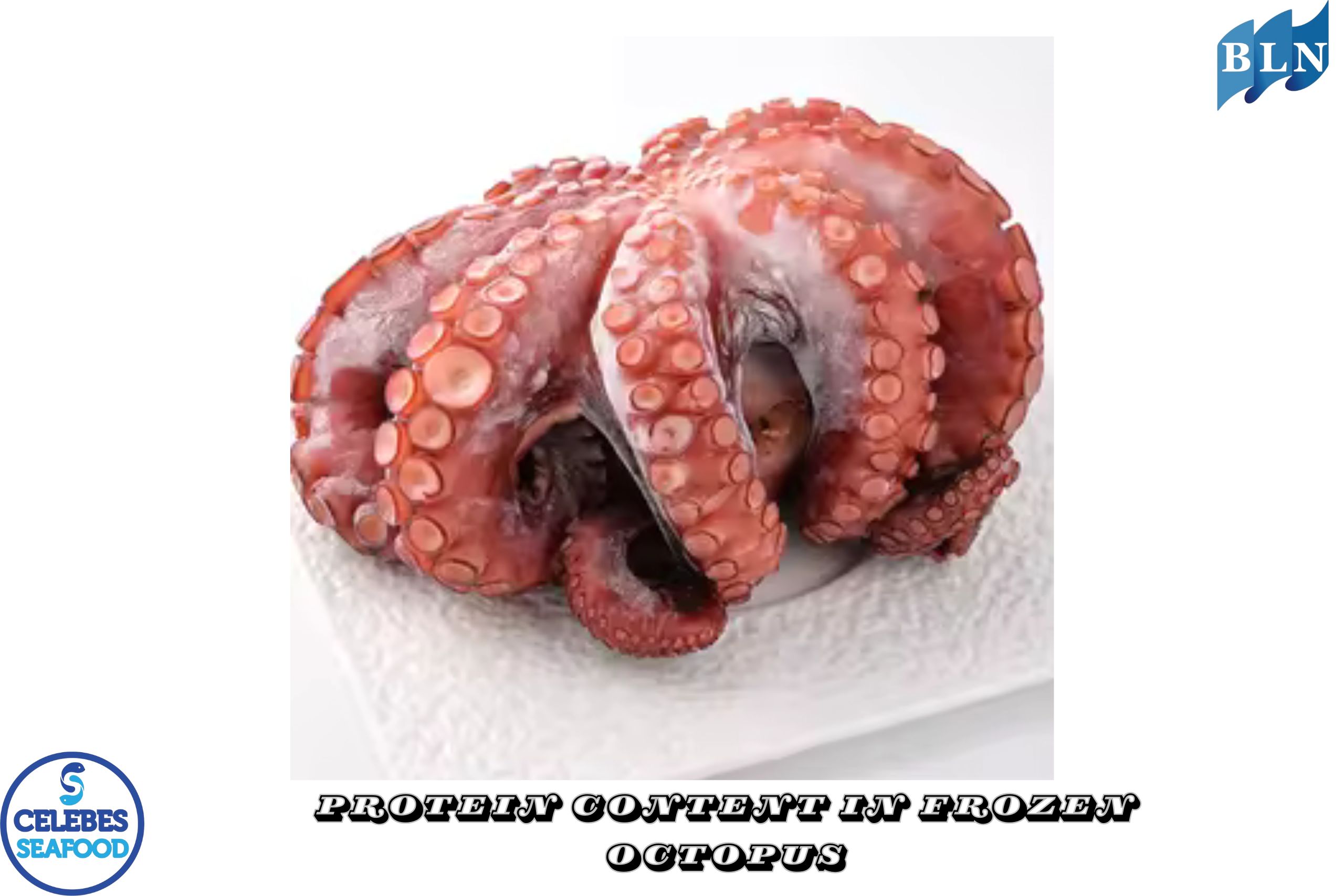 Protein Content in Frozen Octopus